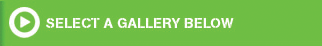 Select A Gallery